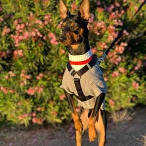 Meet your Posher, Ruth